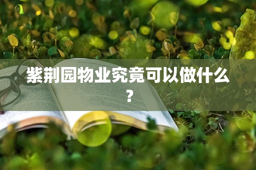 紫荆园物业究竟可以做什么？
