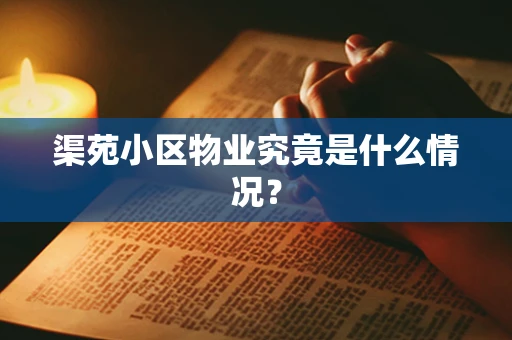 渠苑小区物业究竟是什么情况？