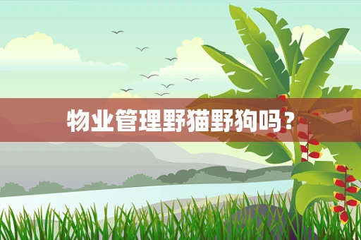 物业管理野猫野狗吗？