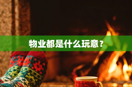 物业都是什么玩意？