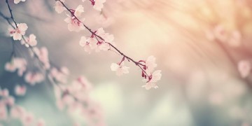 在物业设置灵堂违法吗？