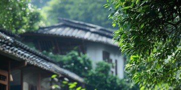 东吴物业会给员工交社保吗？
