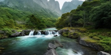 鑫洲家园的物业名称究竟是什么？