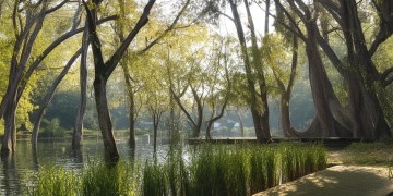 俞家锦苑究竟是什么物业？