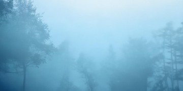宜宾鲁能公馆物业究竟是什么样的存在？