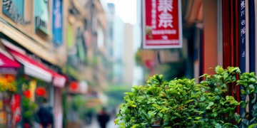 武汉保利物业正在招聘吗？