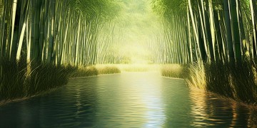 滨湖竹园是由什么物业管理的呢？