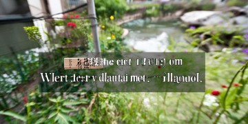 小区水费由物业收取合理吗？