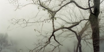 株洲一职需要交什么物业费呢？