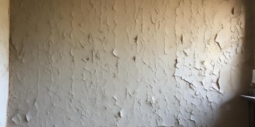 家里墙皮脱落该找物业吗？